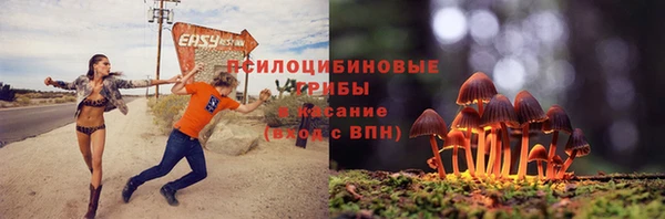 гидра Богданович