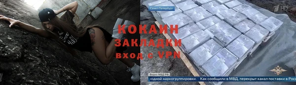 гидра Богданович