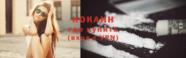 гидра Богданович