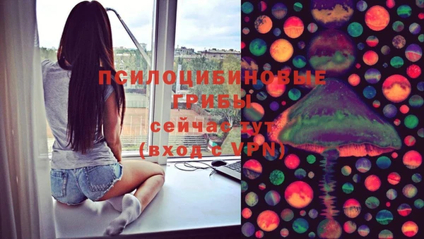 гидра Богданович